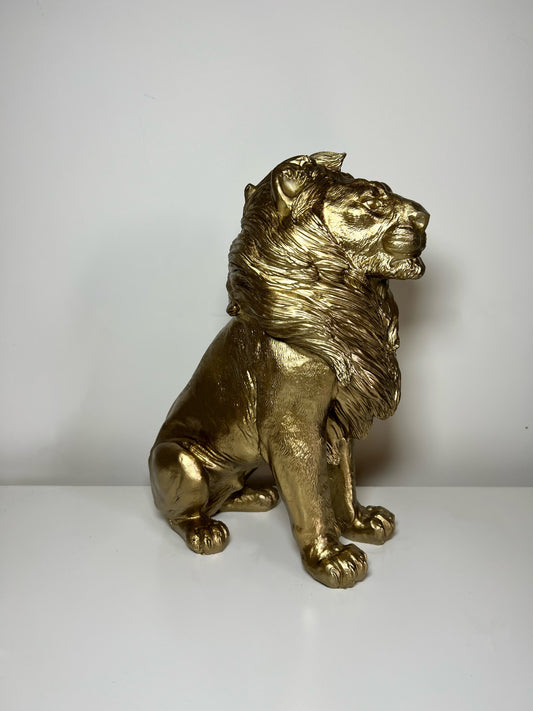 HV Golden Lion- Zittend